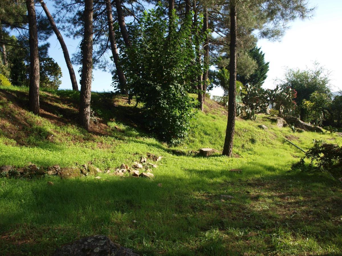 Camping La Eliza Lanzahita Exterior photo